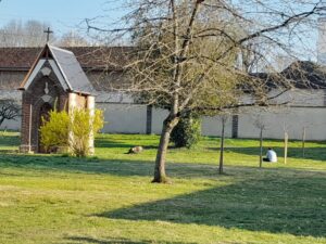 Temps de réflexion personnelle